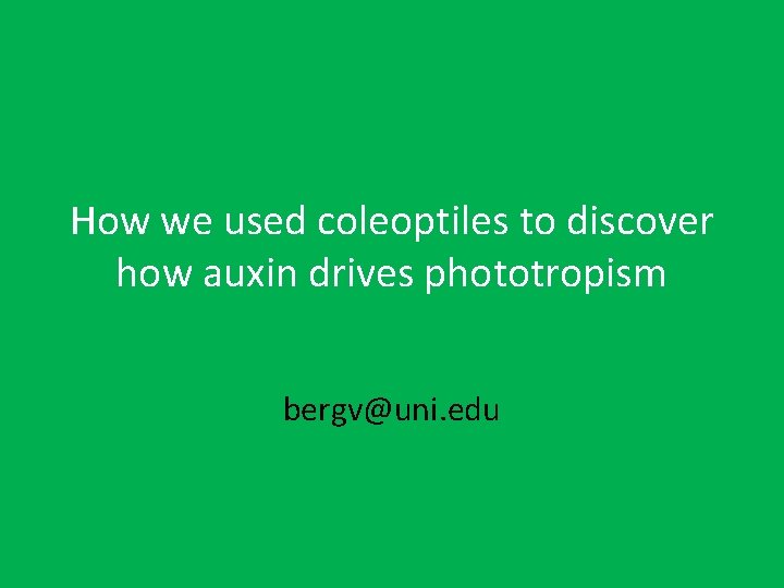 How we used coleoptiles to discover how auxin drives phototropism bergv@uni. edu 
