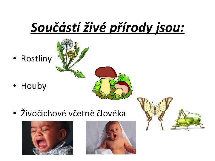 Součástí živé přírody jsou: • Rostliny • Houby • Živočichové včetně člověka 