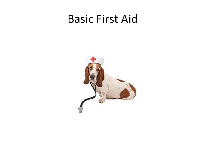 Basic First Aid 