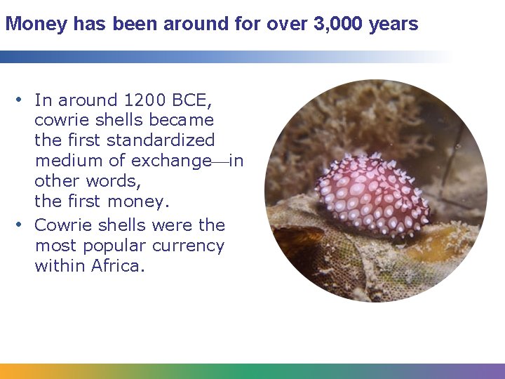 Money has been around for over 3, 000 years • In around 1200 BCE,