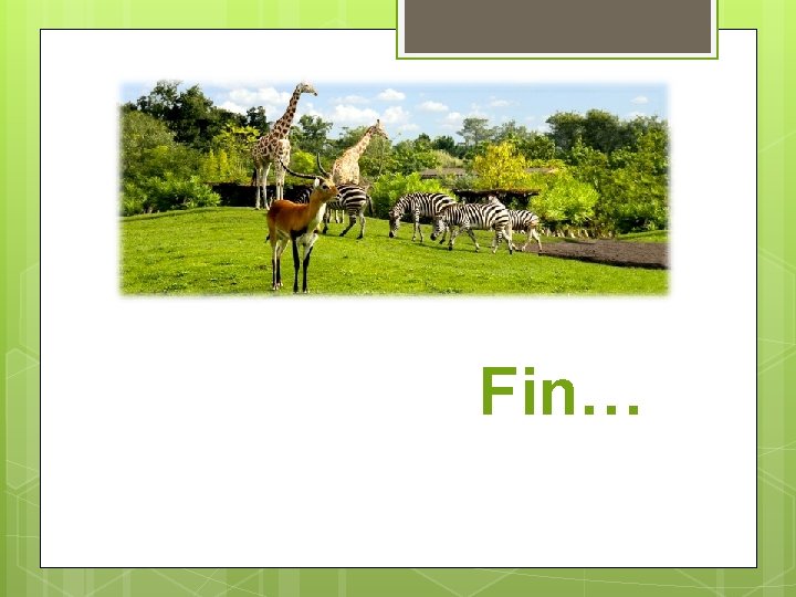 Fin… 