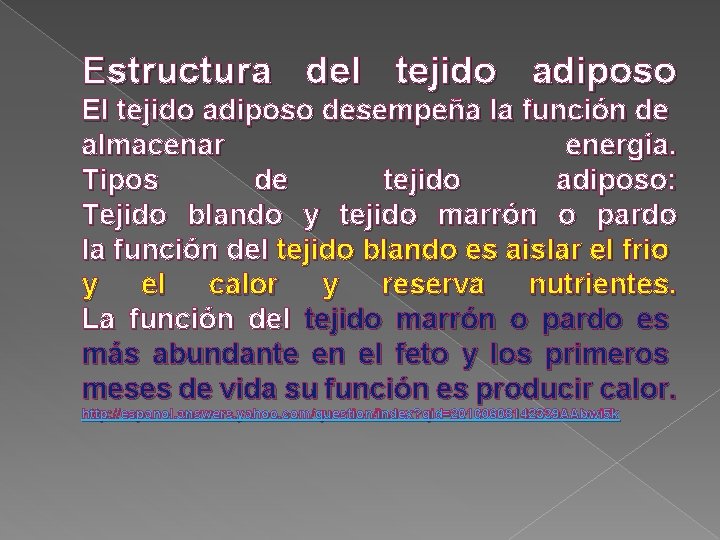 Estructura del tejido adiposo El tejido adiposo desempeña la función de almacenar energía. Tipos