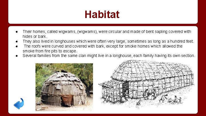 Habitat ● ● Their homes, called wigwams, (wigwams), were circular and made of bent
