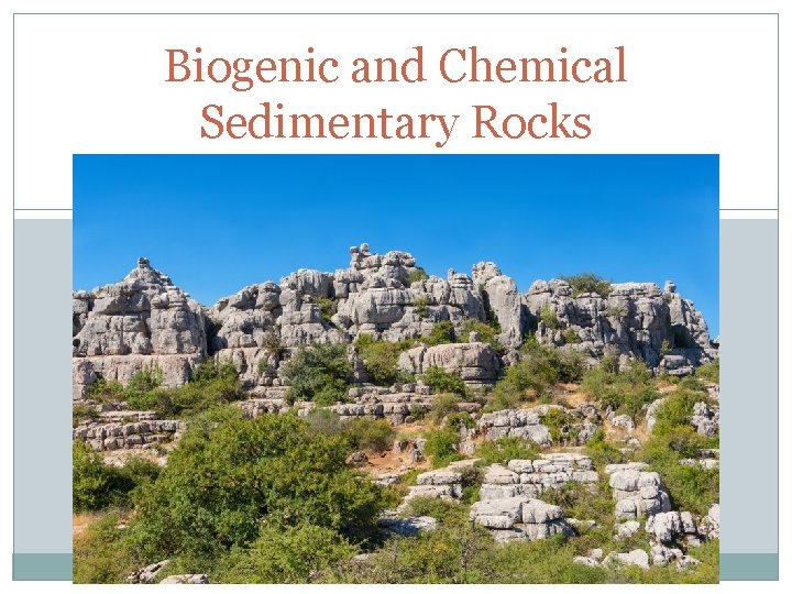 Biogenic and Chemical Sedimentary Rocks UNIT 3 