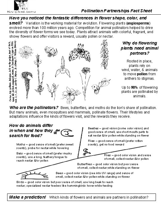 Pollination Partnerships Fact Sheet Have you noticed the fantastic differences in flower shape, color,