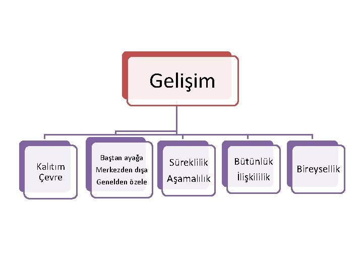 Gelişim Kalıtım Çevre Baştan ayağa Merkezden dışa Genelden özele Süreklilik Aşamalılık Bütünlük İlişkililik Bireysellik Gelişim Kalıtım Çevre Baştan ayağa Merkezden dışa Genelden özele Süreklilik Aşamalılık Bütünlük İlişkililik Bireysellik
