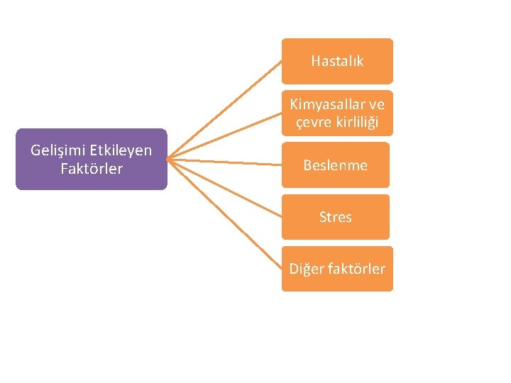 Hastalık Kimyasallar ve çevre kirliliği Gelişimi Etkileyen Faktörler Beslenme Stres Diğer faktörler Hastalık Kimyasallar ve çevre kirliliği Gelişimi Etkileyen Faktörler Beslenme Stres Diğer faktörler