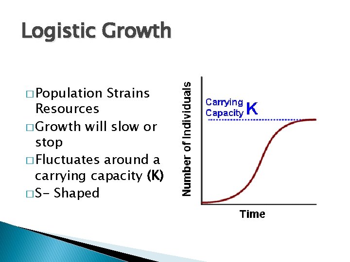 Logistic Growth � Population Strains Resources � Growth will slow or stop � Fluctuates