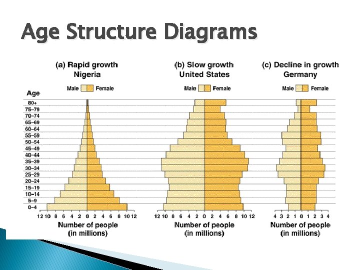 Age Structure Diagrams 