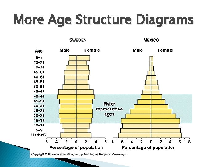 More Age Structure Diagrams 