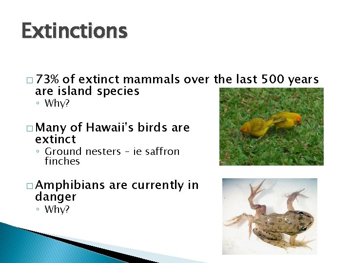 Extinctions � 73% of extinct mammals over the last 500 years are island species