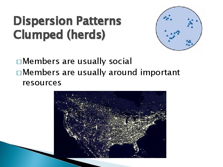 Dispersion Patterns Clumped (herds) � Members are usually social � Members are usually around