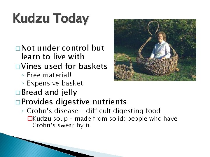 Kudzu Today � Not under control but learn to live with � Vines used