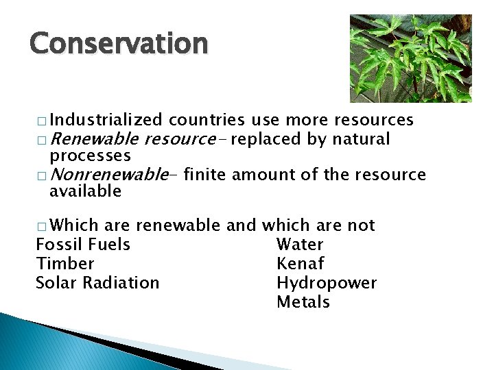 Conservation � Industrialized countries use more resources � Renewable resource- replaced by natural processes