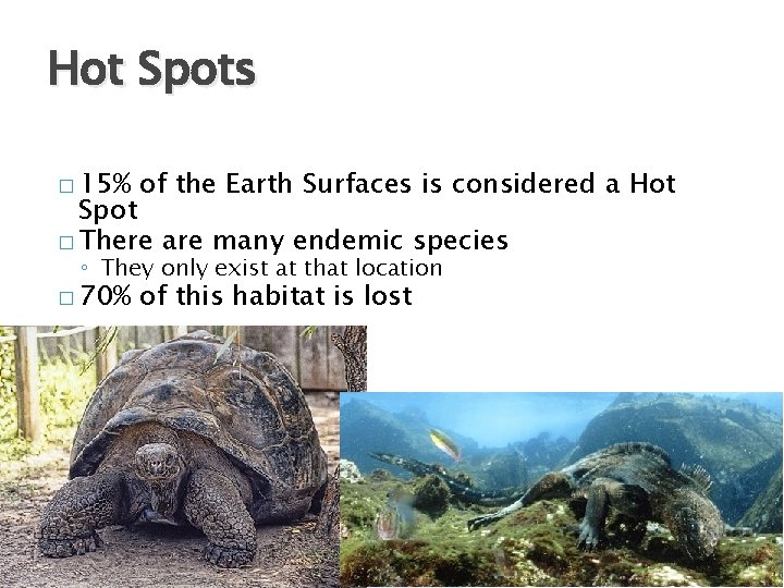 Hot Spots � 15% of the Earth Surfaces is considered a Hot Spot �