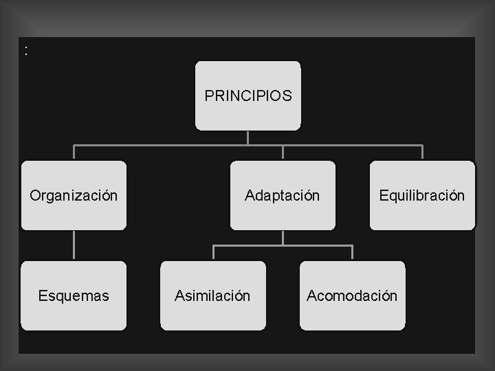 : PRINCIPIOS Organización Esquemas Adaptación Asimilación Equilibración Acomodación 