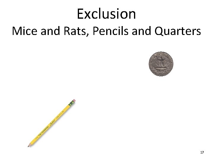 Exclusion Mice and Rats, Pencils and Quarters 17 