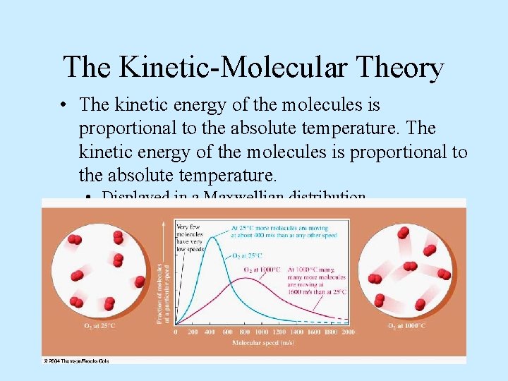 The Kinetic-Molecular Theory • The kinetic energy of the molecules is proportional to the