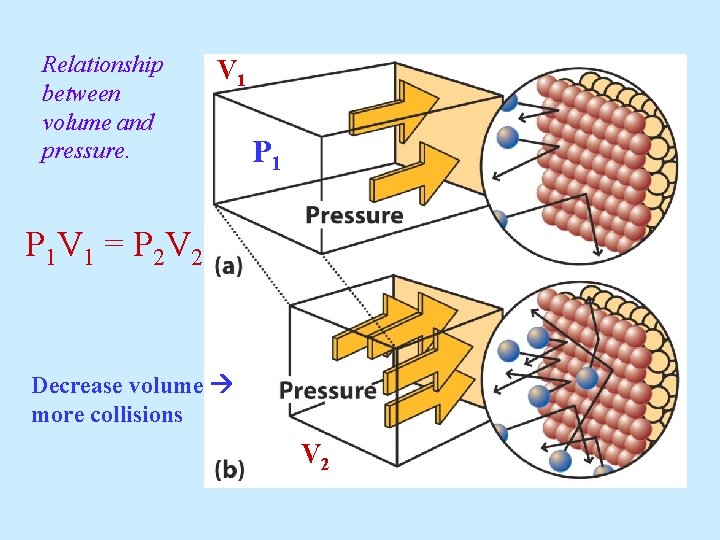 Relationship between volume and pressure. V 1 P 1 V 1 = P 2