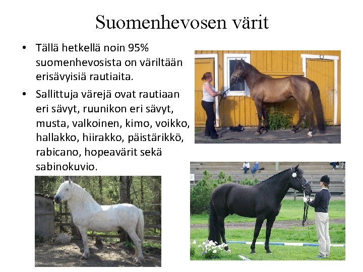 Suomenhevosen värit • Tällä hetkellä noin 95% suomenhevosista on väriltään erisävyisiä rautiaita. • Sallittuja Suomenhevosen värit • Tällä hetkellä noin 95% suomenhevosista on väriltään erisävyisiä rautiaita. • Sallittuja