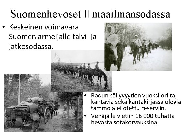 Suomenhevoset II maailmansodassa • Keskeinen voimavara Suomen armeijalle talvi- ja jatkosodassa. • Rodun säilyvyyden Suomenhevoset II maailmansodassa • Keskeinen voimavara Suomen armeijalle talvi- ja jatkosodassa. • Rodun säilyvyyden
