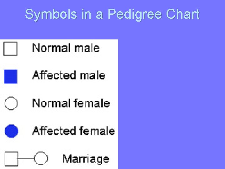 Symbols in a Pedigree Chart 