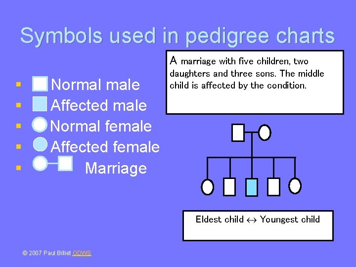 Symbols used in pedigree charts A marriage with five children, two § § §