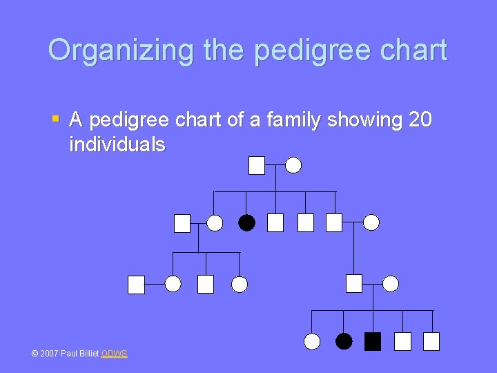 Organizing the pedigree chart § A pedigree chart of a family showing 20 individuals