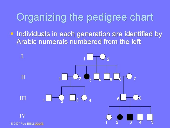 Organizing the pedigree chart § Individuals in each generation are identified by Arabic numerals
