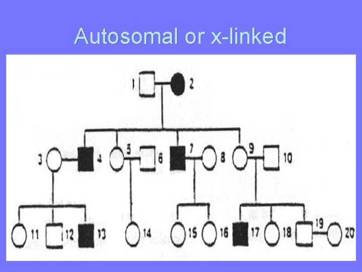 Autosomal or x-linked 