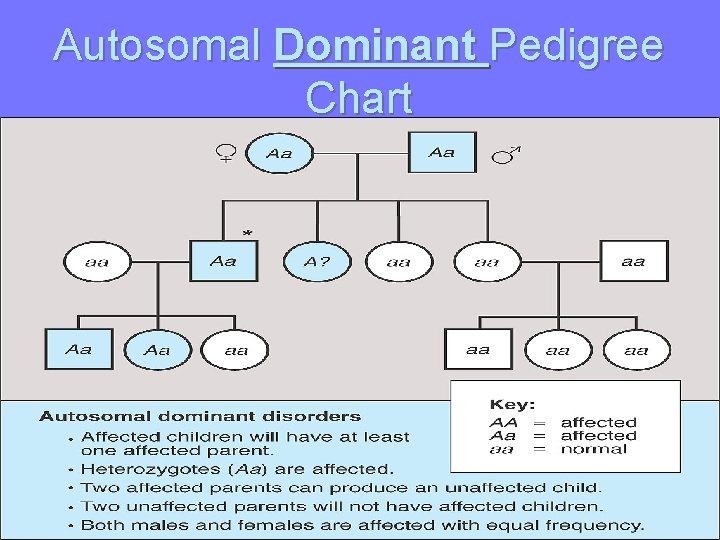 Autosomal Dominant Pedigree Chart 