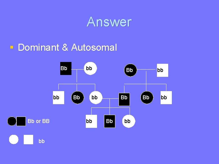 Answer § Dominant & Autosomal Bb bb Bb or BB bb bb Bb Bb