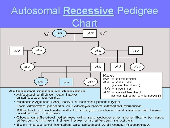 Autosomal Recessive Pedigree Chart 