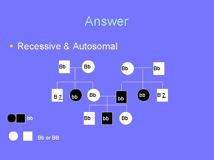 Answer § Recessive & Autosomal Bb B? bb Bb Bb Bb or BB Bb