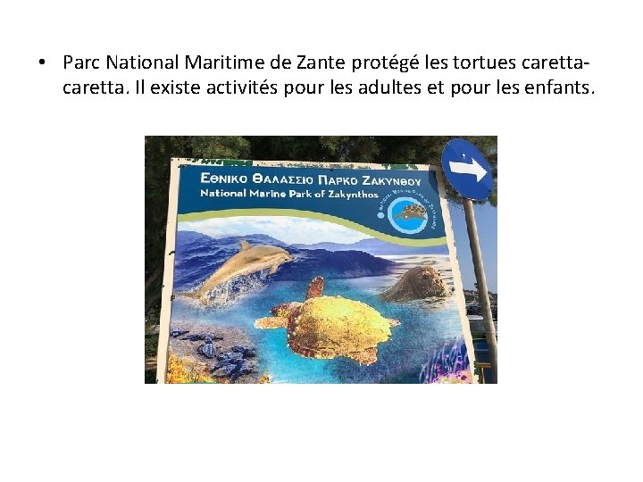  • Parc National Maritime de Zante protégé les tortues caretta. Il existe activités