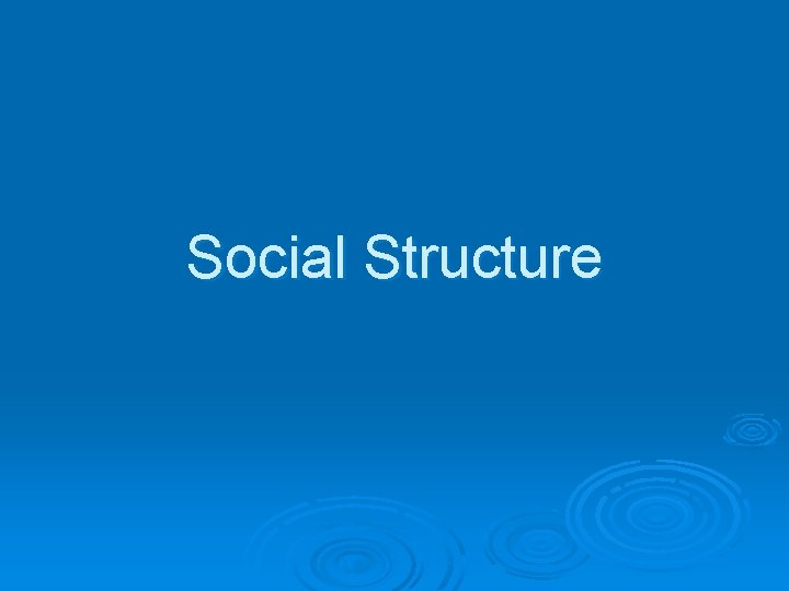 Social Structure 