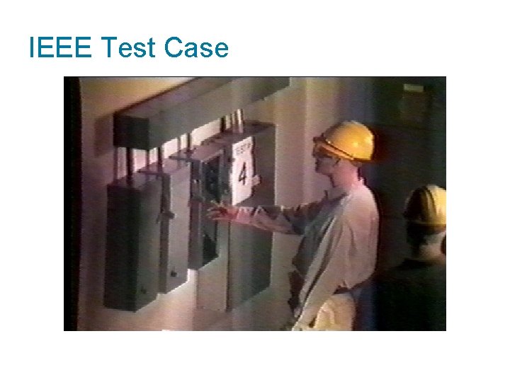 IEEE Test Case 