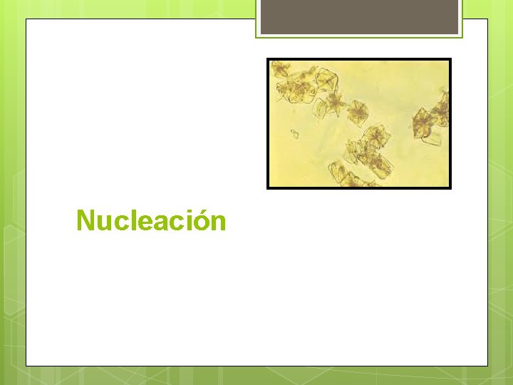 Nucleación 