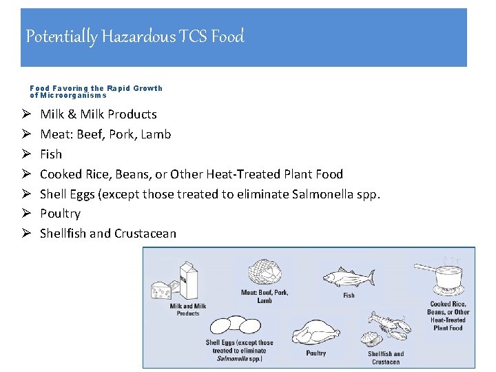 Potentially Hazardous TCS Food Favoring the Rapid Growth of Microorganisms Ø Ø Ø Ø Potentially Hazardous TCS Food Favoring the Rapid Growth of Microorganisms Ø Ø Ø Ø