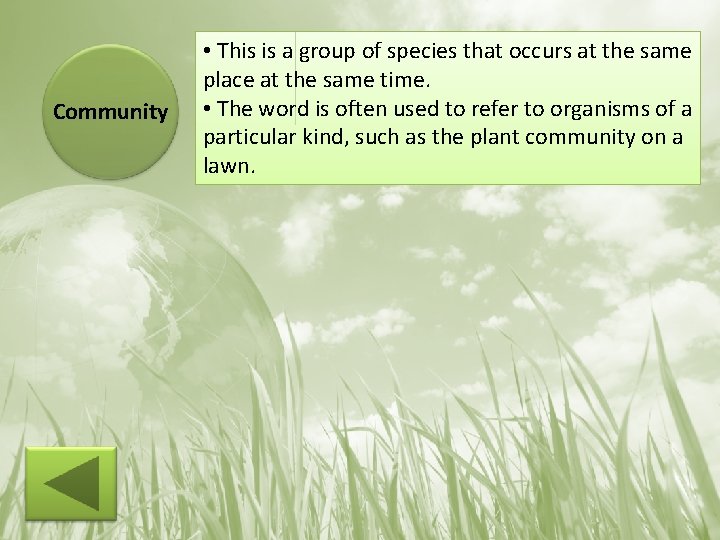 Community • This is a group of species that occurs at the same place