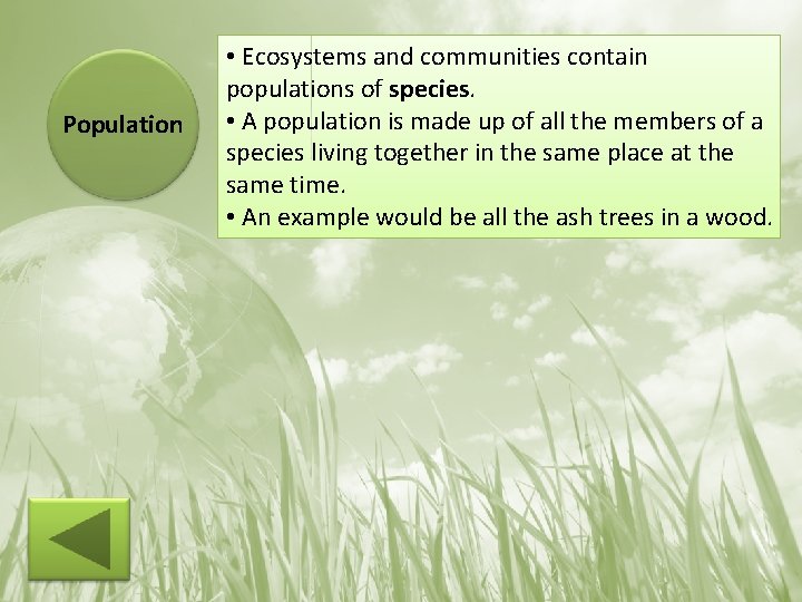 Population • Ecosystems and communities contain populations of species. • A population is made