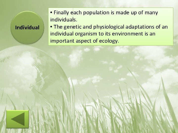 Individual • Finally each population is made up of many individuals. • The genetic