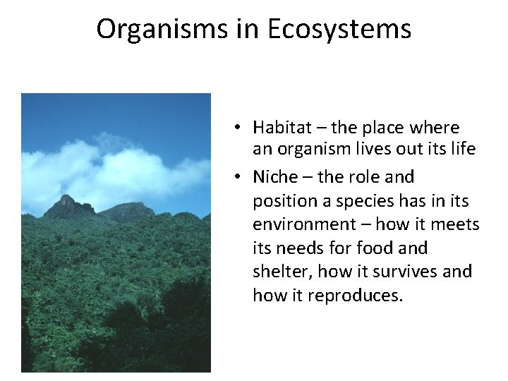 Organisms in Ecosystems • Habitat – the place where an organism lives out its