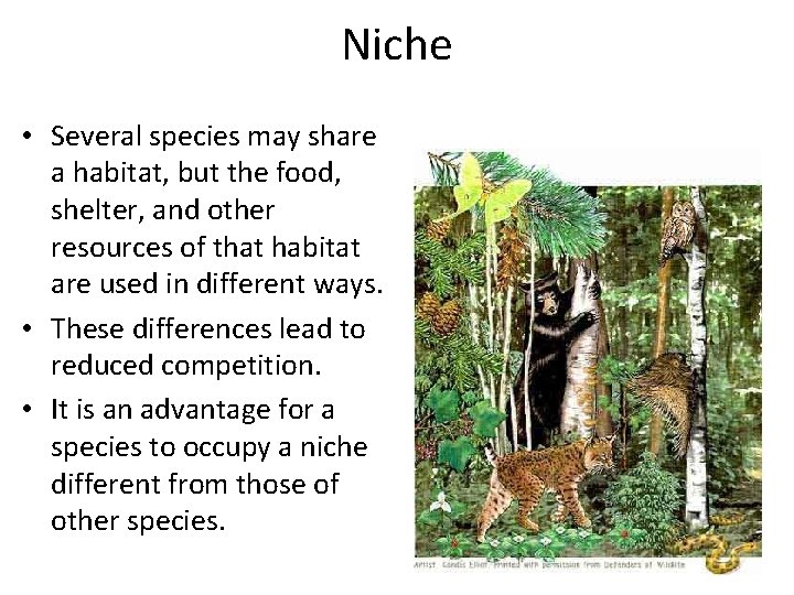 Niche • Several species may share a habitat, but the food, shelter, and other