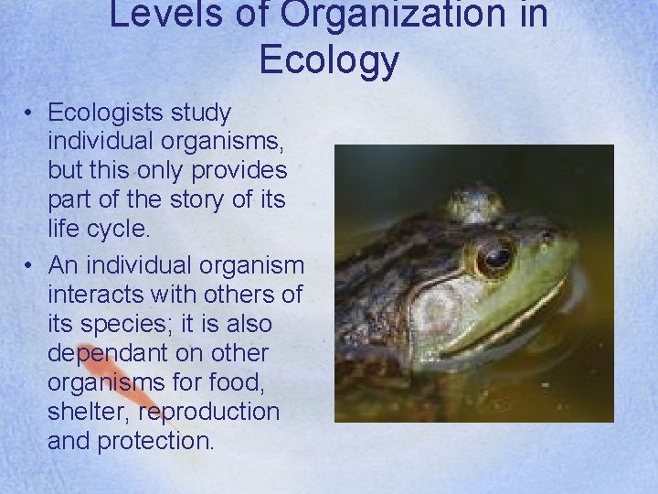 Levels of Organization in Ecology • Ecologists study individual organisms, but this only provides