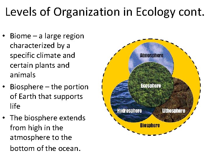 Levels of Organization in Ecology cont. • Biome – a large region characterized by