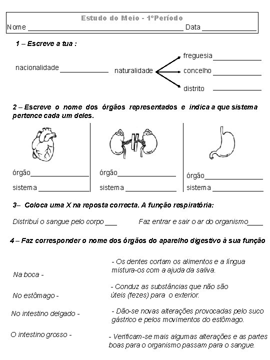 Estudo do Meio - 1ºPeríodo Nome ____________________ Data _______ 1 – Escreve a tua