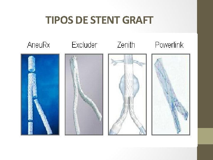 TIPOS DE STENT GRAFT 