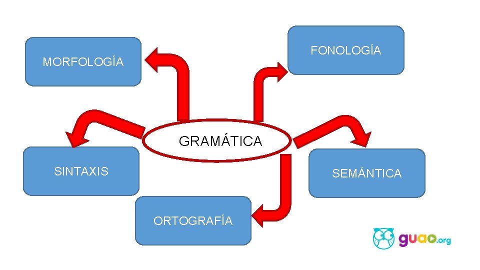 FONOLOGÍA MORFOLOGÍA g. GRAMÁTICA SINTAXIS SEMÁNTICA ORTOGRAFÍA 