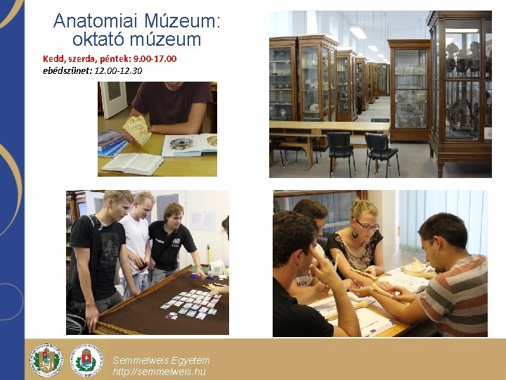 Anatomiai Múzeum: oktató múzeum Kedd, szerda, péntek: 9. 00 -17. 00 ebédszünet: 12. 00